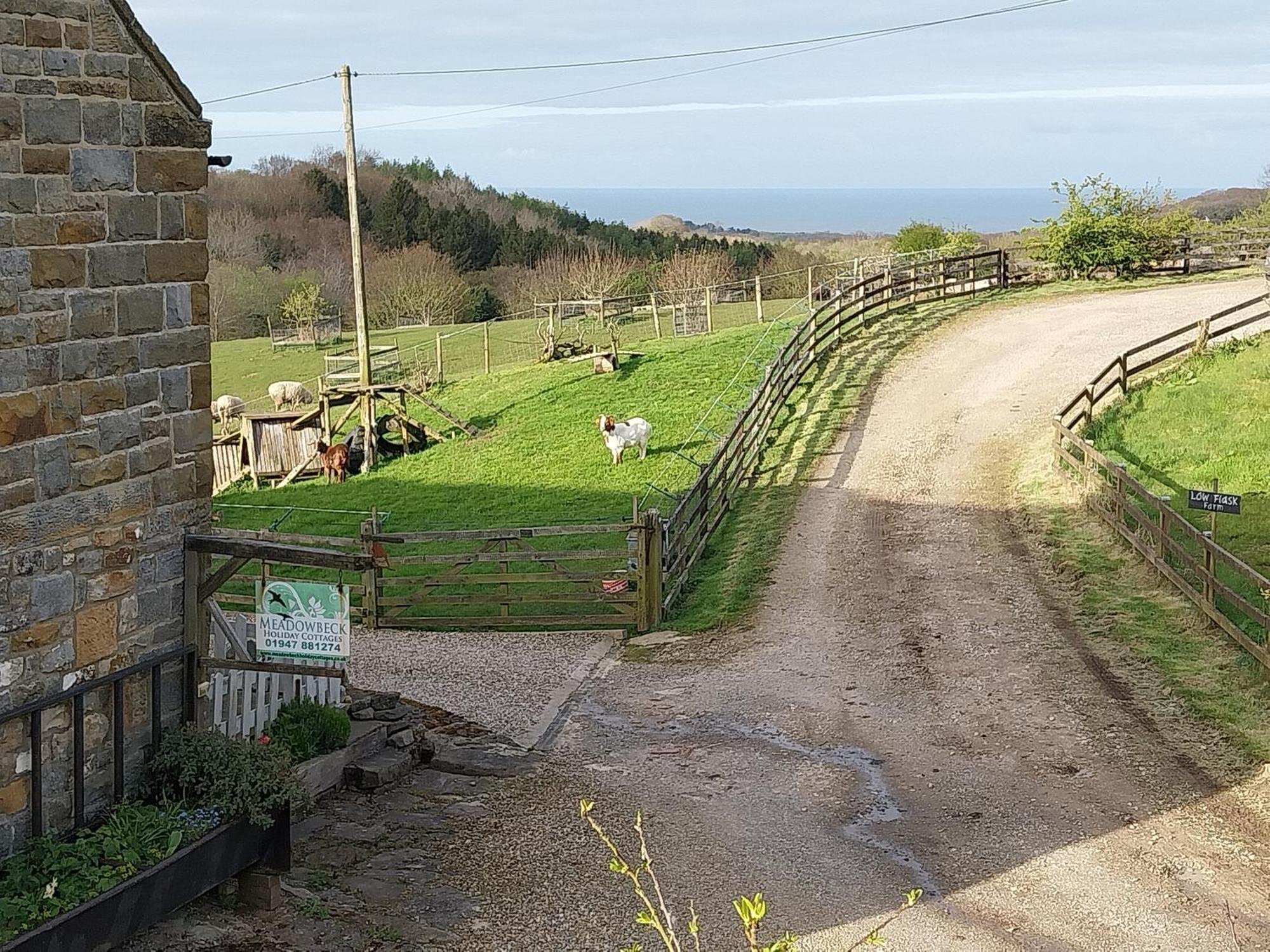 Meadowbeck - Shepherd Huts Fylingdales Exterior foto